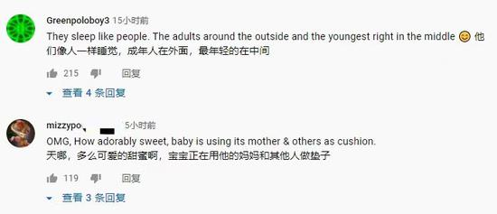 这几天,为何这么多外媒都对中国东北部的这件事“上心”?(图9) 这几天,为何这么多外媒都对中国东北部的这件事“上心”?(图9)