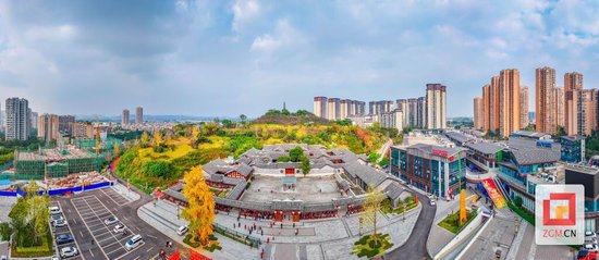 王家大院连绵的青瓦屋顶如波涛般层叠铺展 记者 宋姿熠 摄