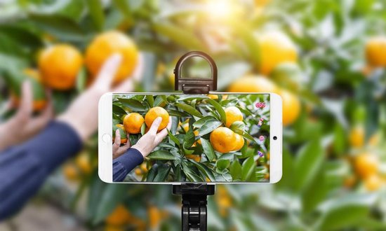 抢跑电商付费会员，俞敏洪“怕了”？东方甄选“急了”？