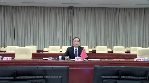 国家卫健委卫生应急办公室(突发公共卫生事件应急指挥中心)主任孙阳 WHO视频截图
