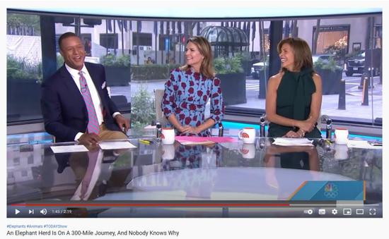 这几天,为何这么多外媒都对中国东北部的这件事“上心”?(图8) NBC主持人笑作一团 截图自NBC新闻