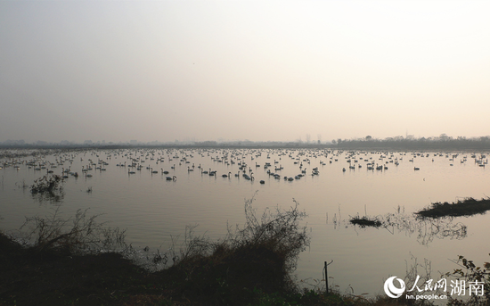  静谧的东古湖。人民网记者 刘宾摄