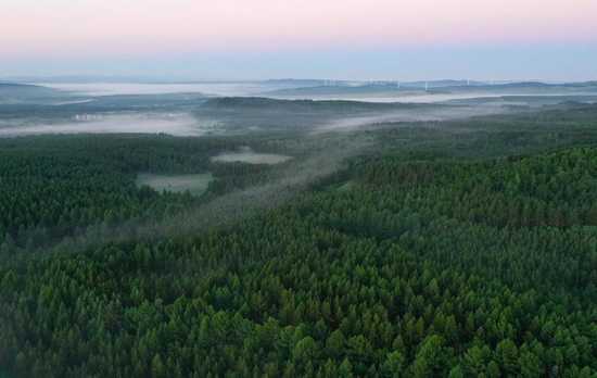 2021年6月27日拍摄的塞罕坝国家森林公园晨景（无人机照片）。 新华社记者 杨世尧 摄