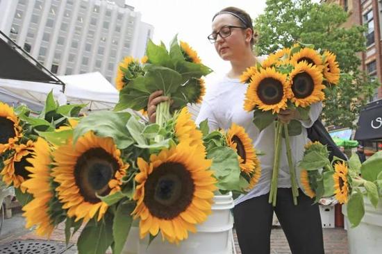 《华尔街日报》全方位解读税改对美国18个行