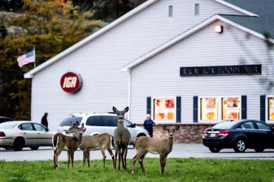 《华尔街日报》全方位解读税改对美国18个行