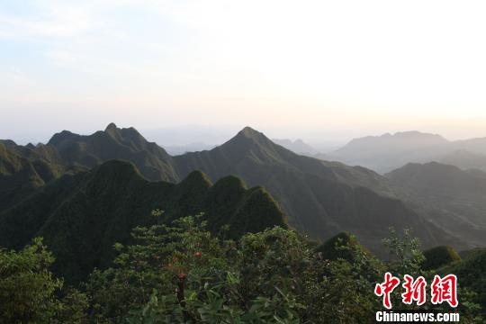 图为重庆秀山川河盖风景区。 王茜 摄