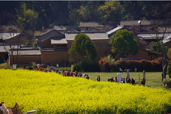 推进高质量发展,华侨城助力文旅行业消费增长