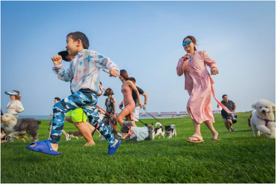 荣盛酒店获“星光奖”年度民族品牌酒店管理集团称号