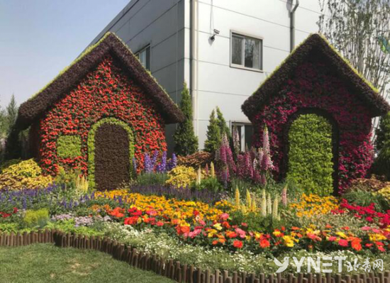 第六届北京花木春季花展开幕