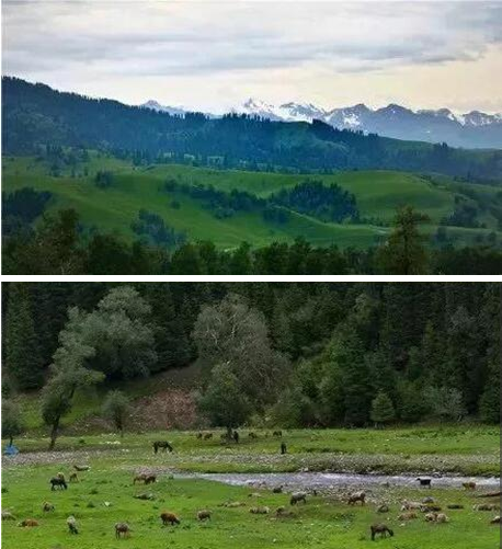 网红公路一日见四季--藏在深山里的翡翠