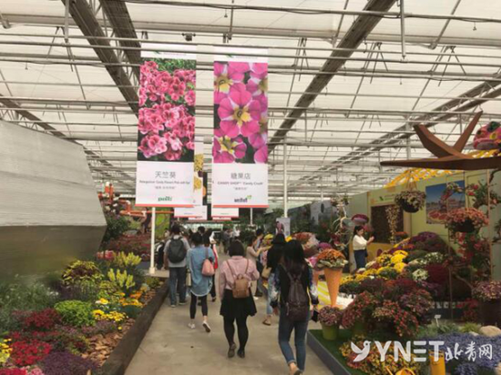 第六届北京花木春季花展开幕