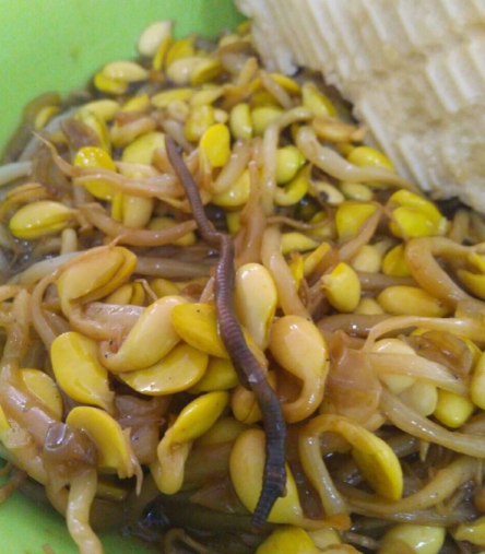 山东某大学食堂吃出蚯蚓 校园食品卫生亟待解