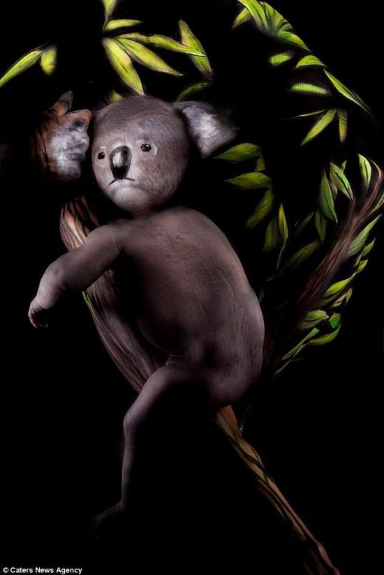 图为正在爬树的考拉。