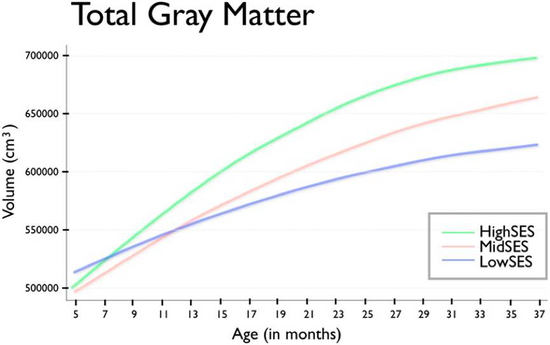 根据汉森等人的研究工作[11]，随着年龄的增长，家庭的社会经济状况与大脑灰质的容量成正相关。