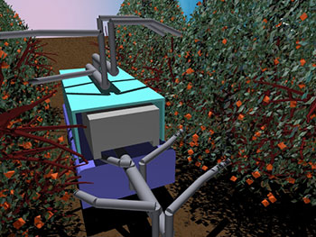 日本将研发水果采摘机器人|水果采摘机器人