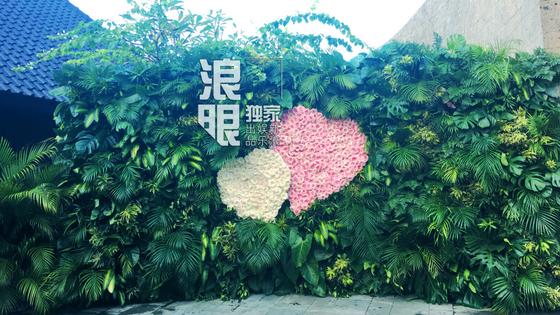 霍建华林心如大婚两人泪眼相望深吻.现场视频