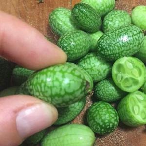 ���������������ذ�Ĵָ���ϣ�