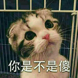 【分手吸毒当纪念 闺蜜双双被拘留】这可能. 来