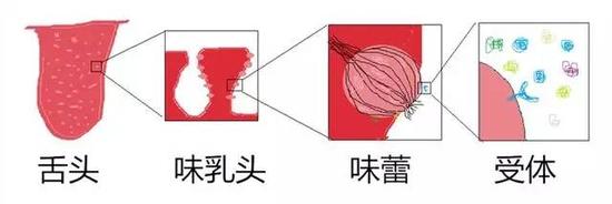 来自作者游识猷的灵魂画作