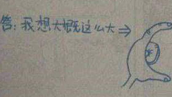 9道逆天的小学试题