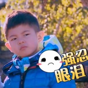 【印刷的儿子移动器沙溢表情安吉表情.来表情包前排出售瓜子图片