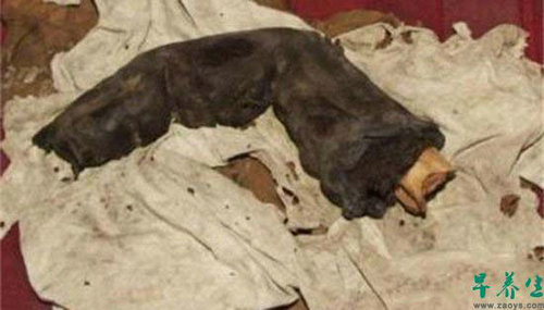 6. 几乎所有文化圈都有巨人的传说,但是从来没有明确的证据。除非你把这个在1985年由Gregor Sporri拍下的照片算进去。他在埃及旅行时遇到一位年老的盗墓者,这名老人竟然有一根巨人的木乃伊手指,全长38公分,据推算身高至少有3.6米高。