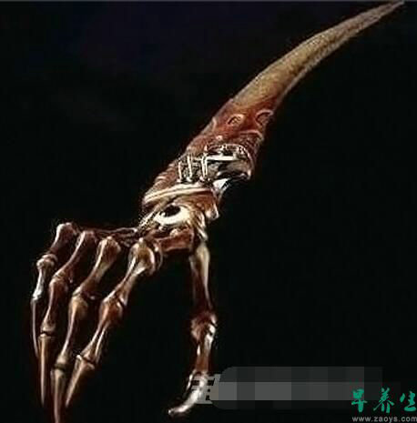 21 .这把刀是意大利一疯铁匠所铸,他将妻子右手做成刀柄,将儿子肋骨做成刀刃,并把自己小腿骨做成刀柄,献给当时债主,三天后债主发疯将自己一家人全部烧死,据说后来得到这把刀的人全都发疯了,且像受到诅咒一样一家人全死亡。