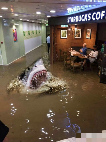 台风袭击香港 老伯水中淡定看报走红网络