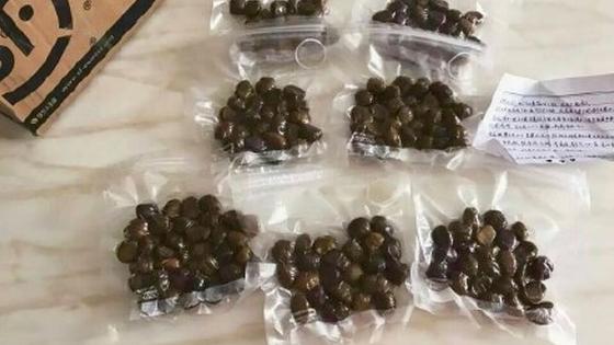 女子晒男友军装照秀恩爱