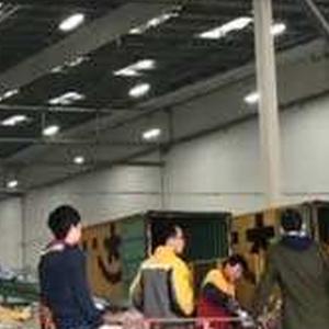 【双11大学生被实习成快递分拣员 10小时报. 来