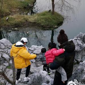 【孙俪邓超携儿女幸福出游:我们是一家人】. 来