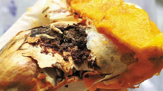 “神秘生物”现身