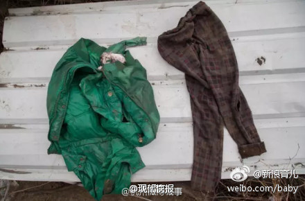 少女看狗可怜打开笼子
