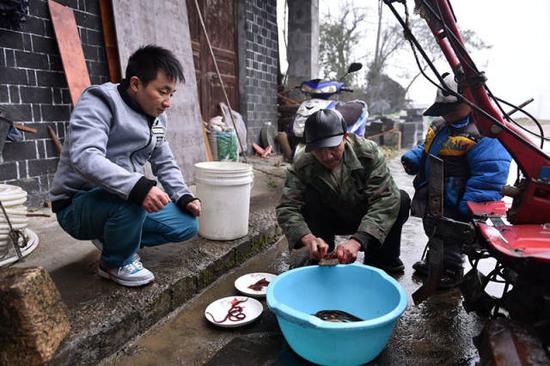 石欣(左一)跟爸爸学破黄鳝的技术,他3岁的儿子也凑过来看。
