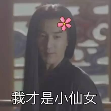 赵又廷表情包引网友神评论