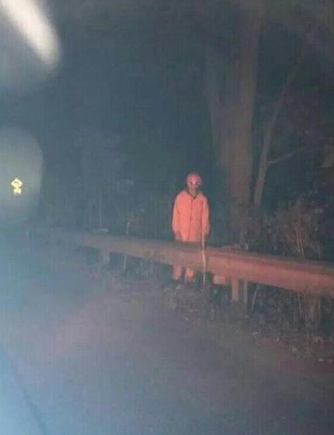 独自开车时看到这个 你会凑近看这是什么吗?