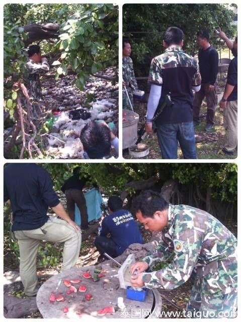 7dae07ee4da973c608fbddf2fab0693e