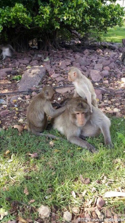 aa875eeely1ff2mdf8rw0j20hg0v07an