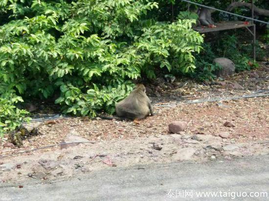 0d35d54163c0e2559fb5ff4e5c6565cb