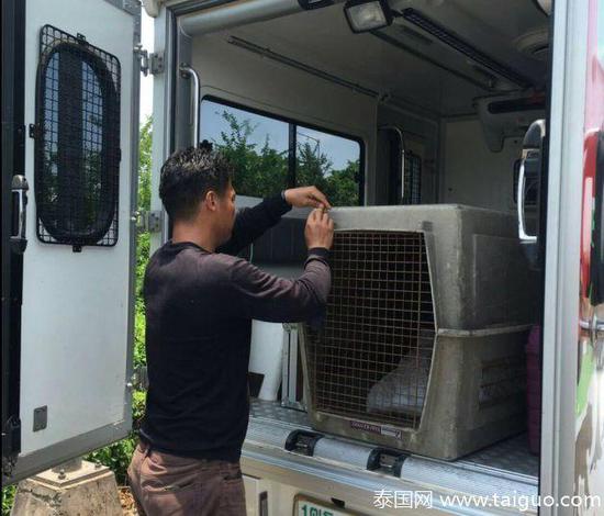 00e53fedaa88f22604300361e8c14c7f