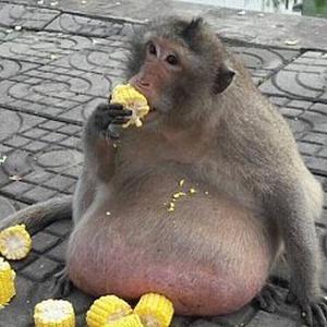 aa875eeely1ff2mde2p6yj208h0f276e (1)