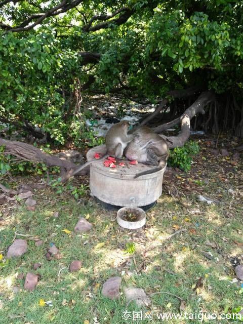 a0abfbe5c7a319f4e8064f980ea80a00