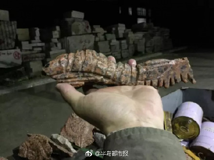 6374a705ly1fg81rf2mutj20dw0afdl7