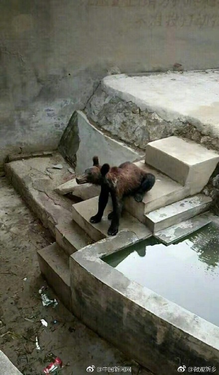 6a5ce645ly1fgrbq3t8k8j20hs0ueq62