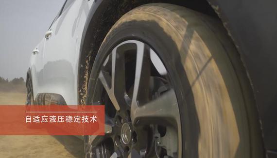 图片12