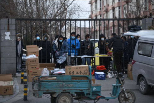 小果庄全村人口_全村的希望图片