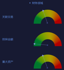 图-6 2018年长园集团财务领域风险指标