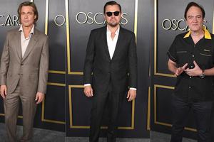 皮特小李子昆汀齐聚奥斯卡提名午宴