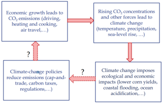 浦银安盛基金杨岳斌、潘雪扬：碳中和赋能价值投资