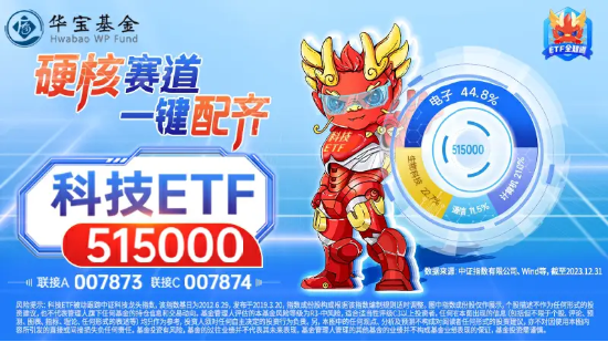 中央汇金重金入市，大科技午后引爆！启明星辰、领益智造双双涨停，科技ETF（515000）飙涨5%迎长阳